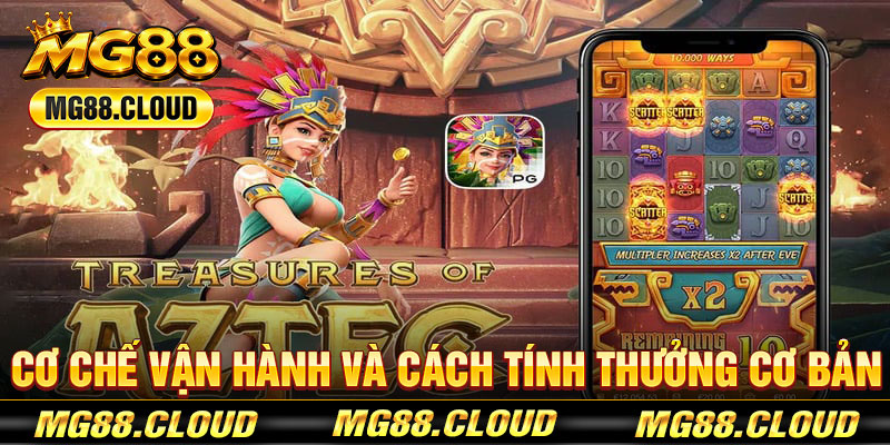 Cơ Chế Vận Hành Và Cách Tính Thưởng Cơ Bản