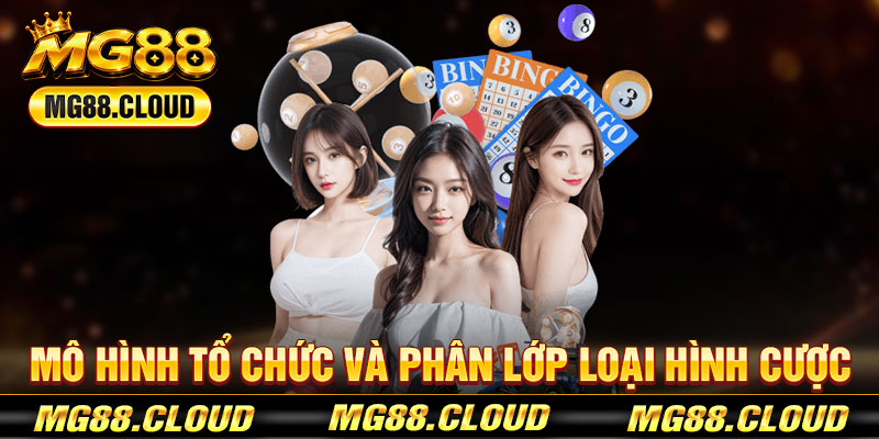 Mô Hình Tổ Chức Và Phân Lớp Loại Hình Cược
