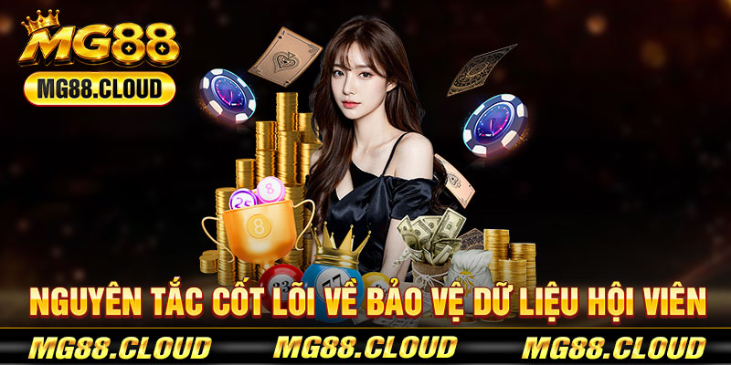 Nguyên Tắc Cốt Lõi Về Bảo Vệ Dữ Liệu Hội Viên