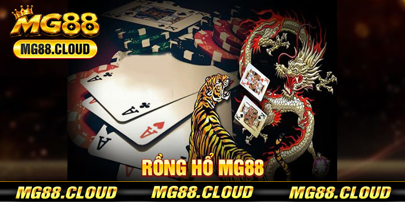 Rồng Hổ mg88