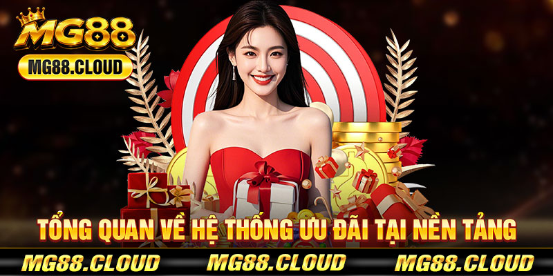 Tổng Quan Về Hệ Thống Ưu Đãi Tại Nền Tảng